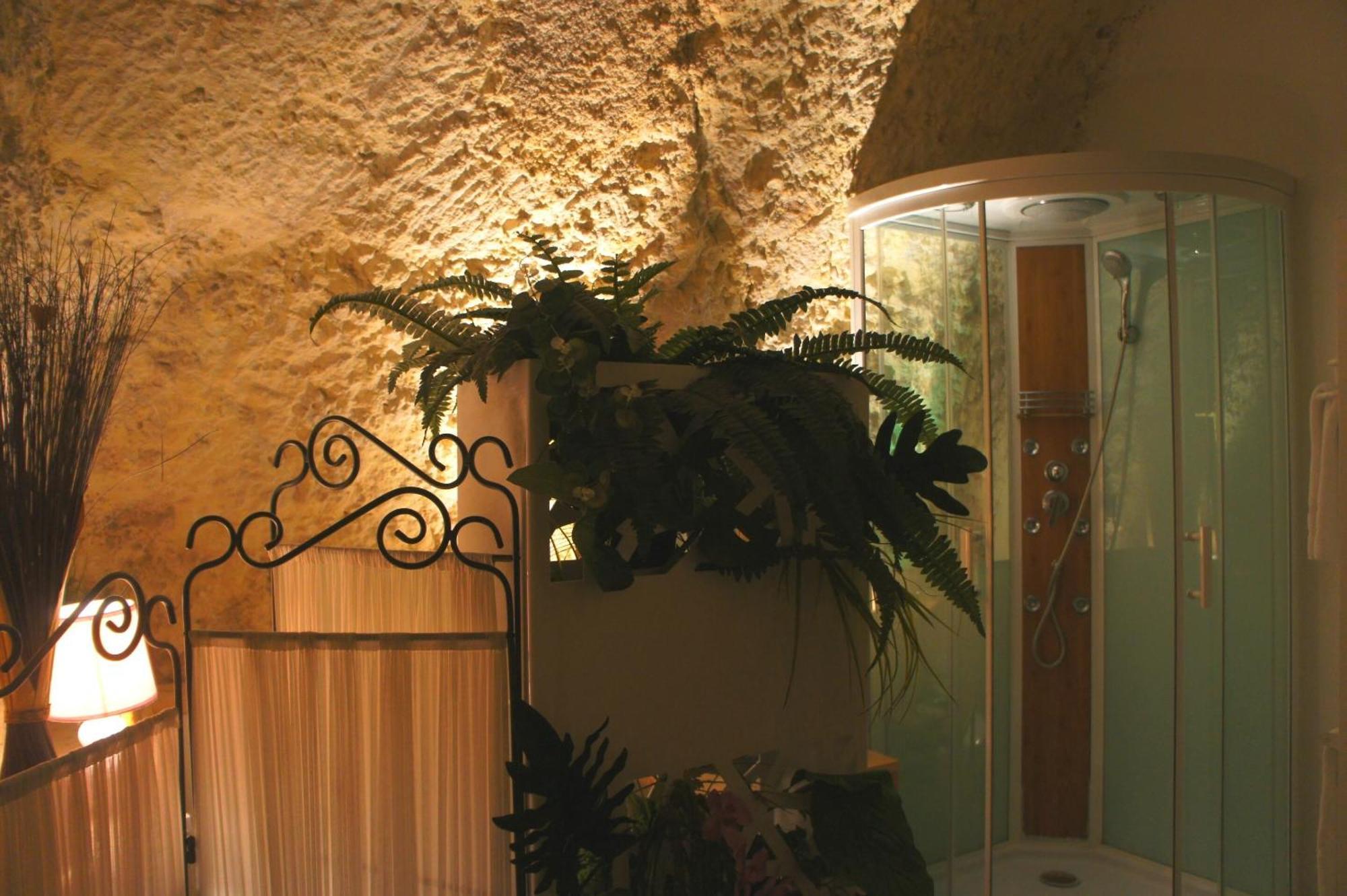 Chambres D'Hotes Troglodytes Le Clos De L'Hermitage Amboise Dış mekan fotoğraf